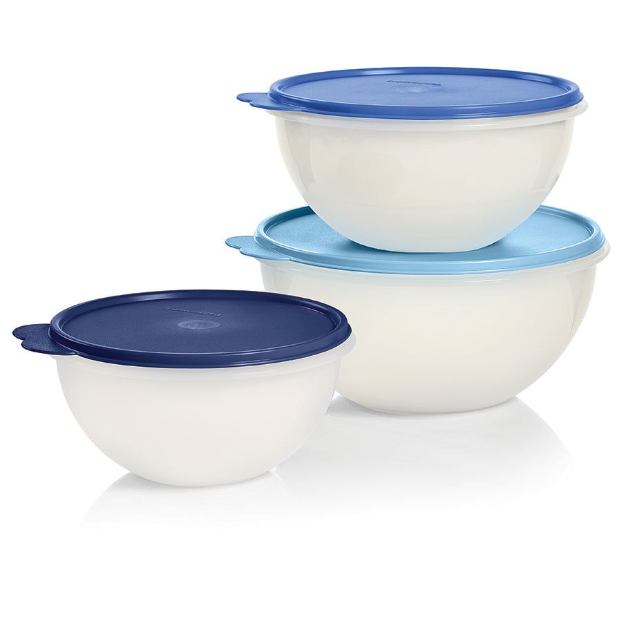 Tupperware Wonderlier Bowl 3-pc. Set sIce Cube Refrigerator Storage | 13528HGDK