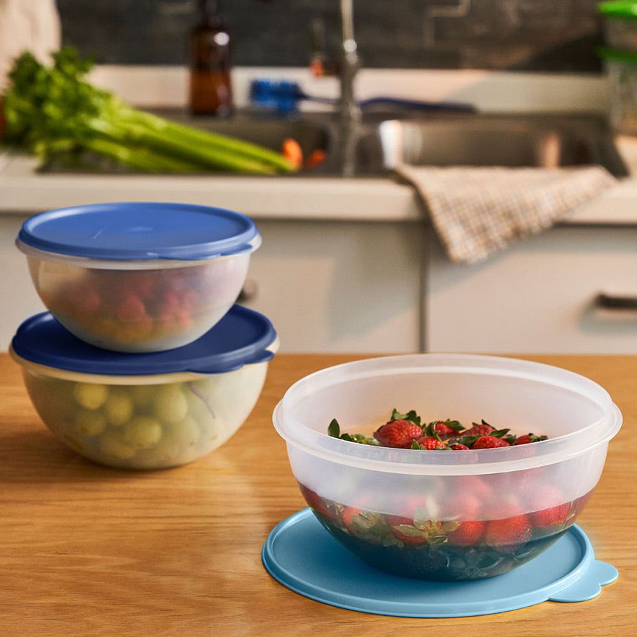 Tupperware Wonderlier Bowl 3-pc. Set sIce Cube Refrigerator Storage | 13528HGDK